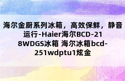 海尔金厨系列冰箱，高效保鲜，静音运行-Haier海尔BCD-218WDGS冰箱 海尔冰箱bcd-251wdptu1炫金